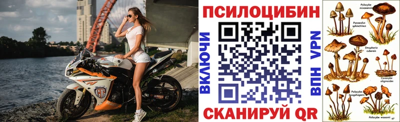 Галлюциногенные грибы GOLDEN TEACHER Фатеж