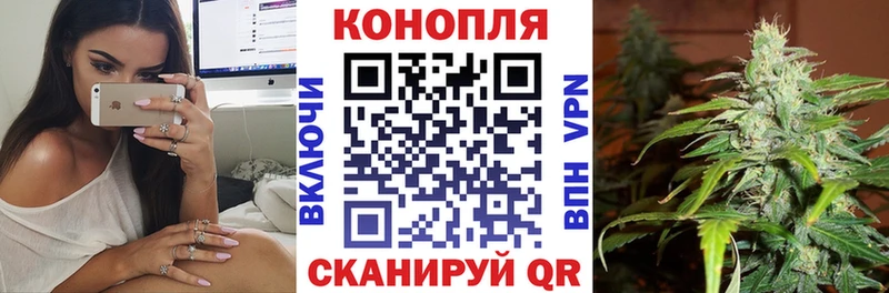 мега маркетплейс  Фатеж  Марихуана ГИДРОПОН 
